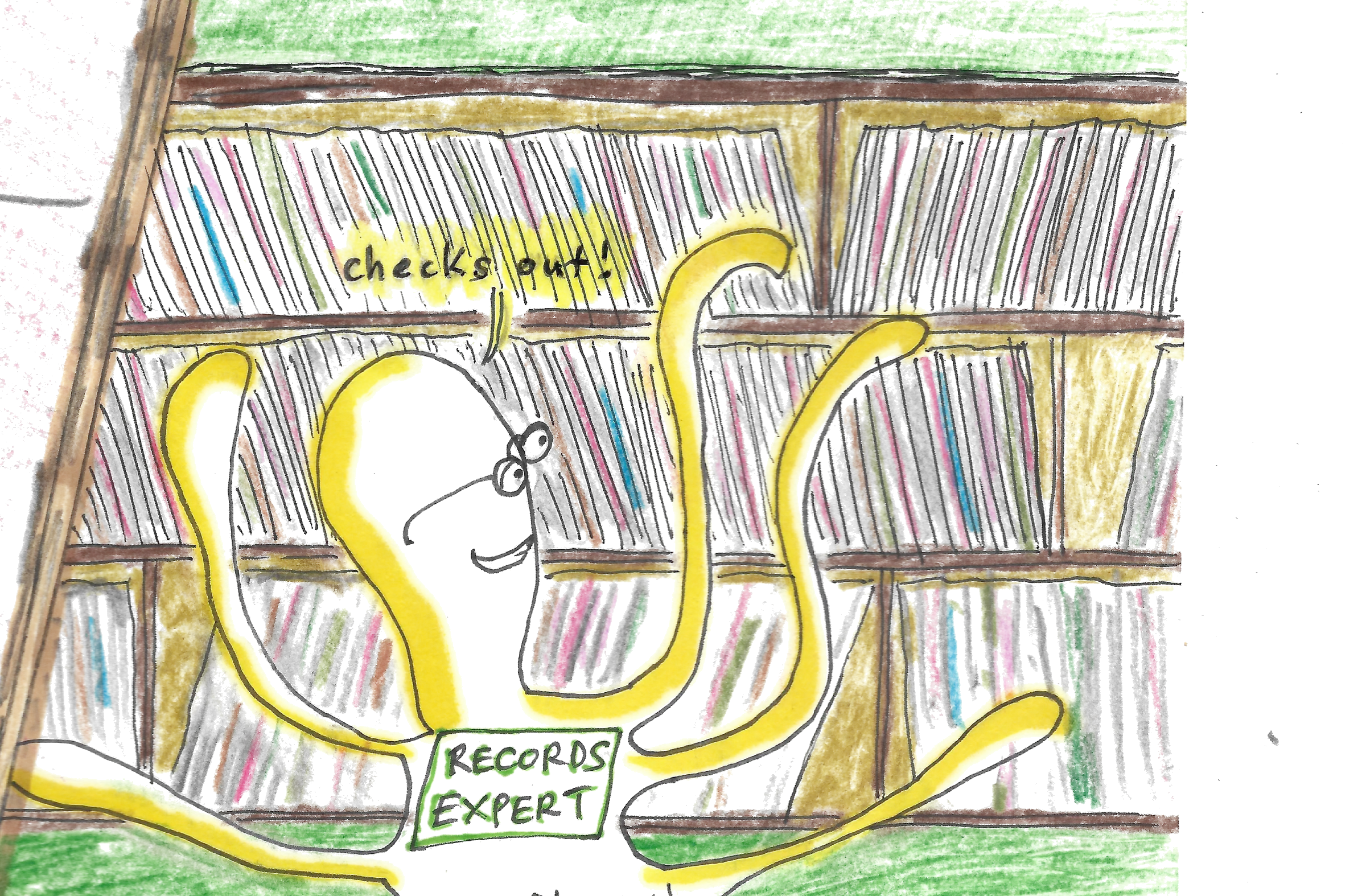 Bunny Patootie hand-drawn illustration of a bespectacled octopus in front of shelves of records, holding a sign reading RECORDS EXPERT